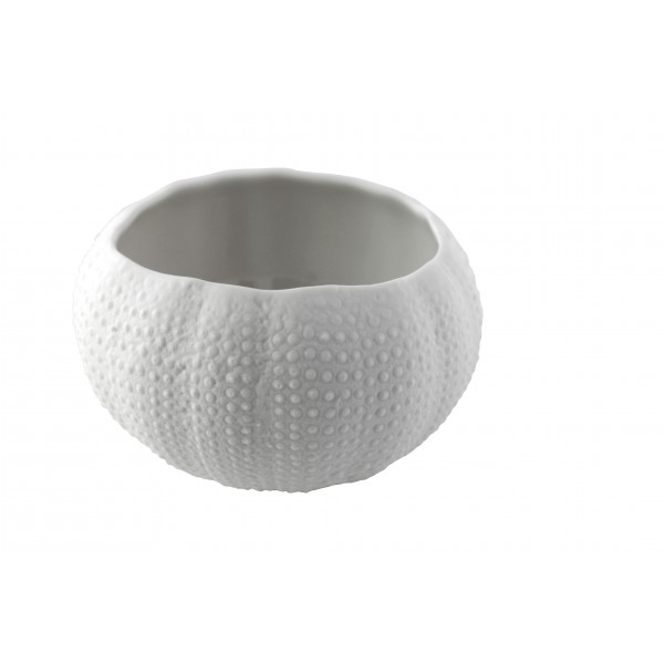 73467e04-4824-43bf-9d07-06114495fc85